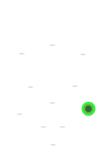 Cancha-Rostaing-EChávez
